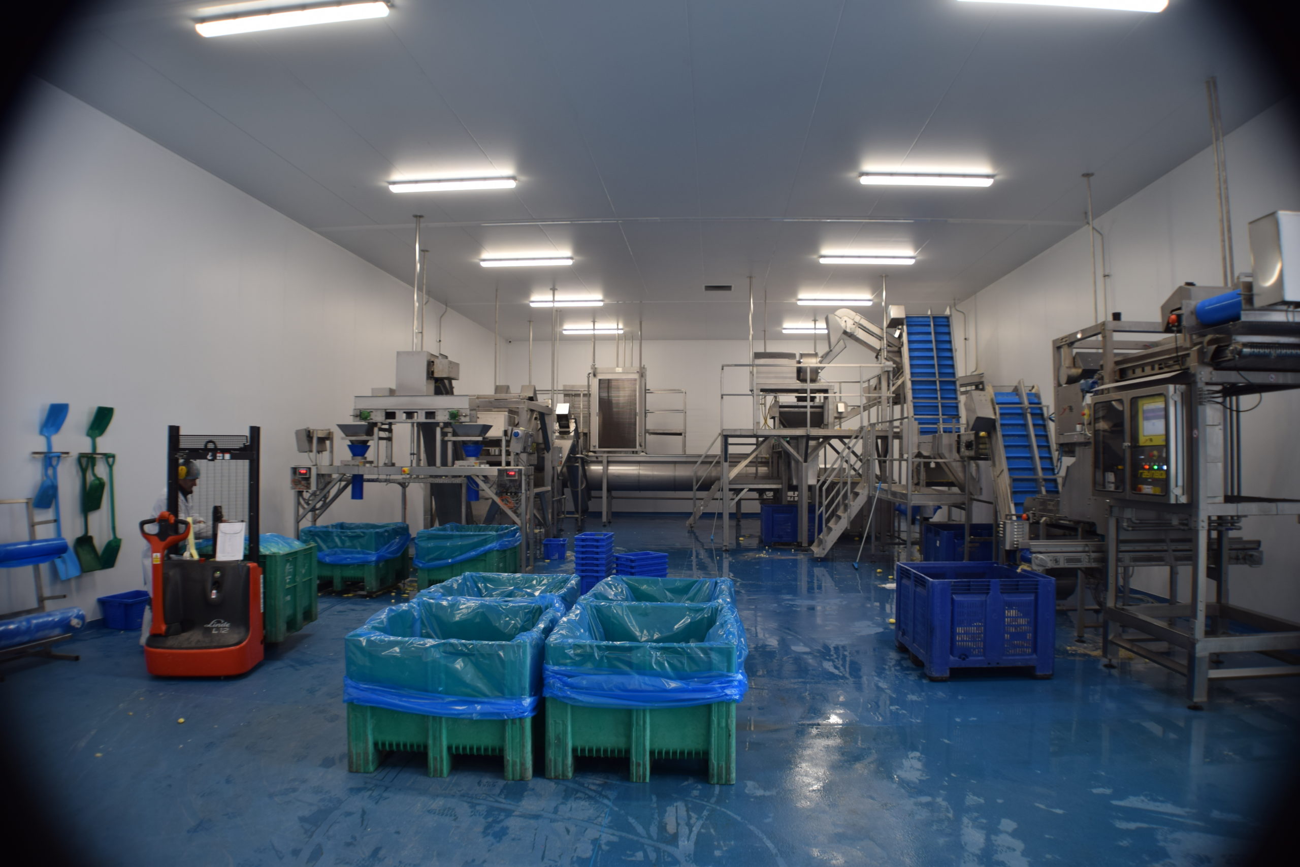 Ready Meal Suppliers UK
