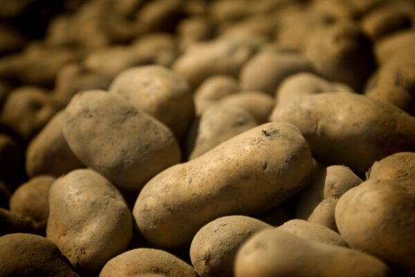 "Triple F Chips" 14mm Chip - Image 5